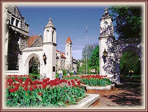 Sample Gates